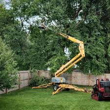 Bellville, OH Tree Services Company